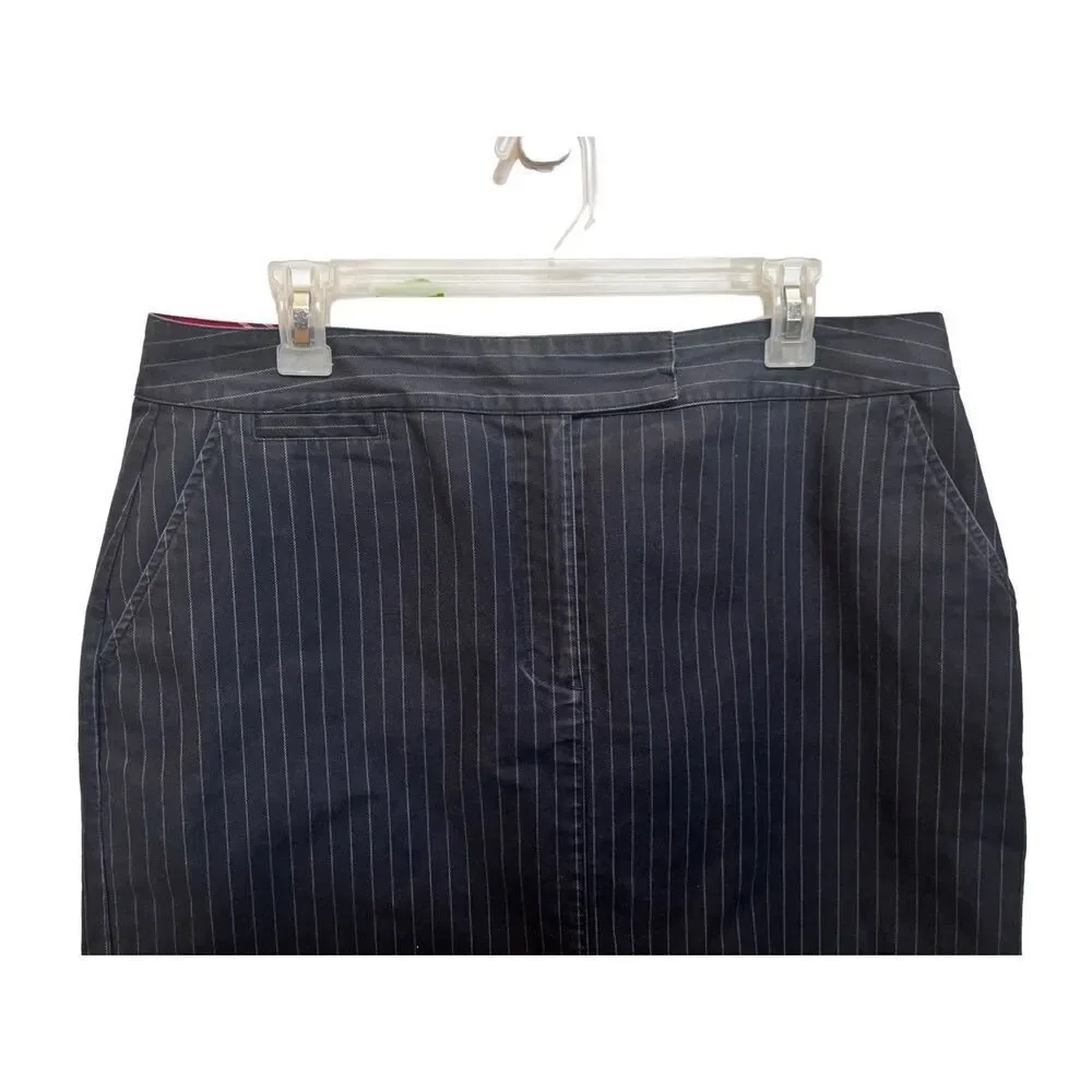 Talbots pin stripped skirt  stretch size 14